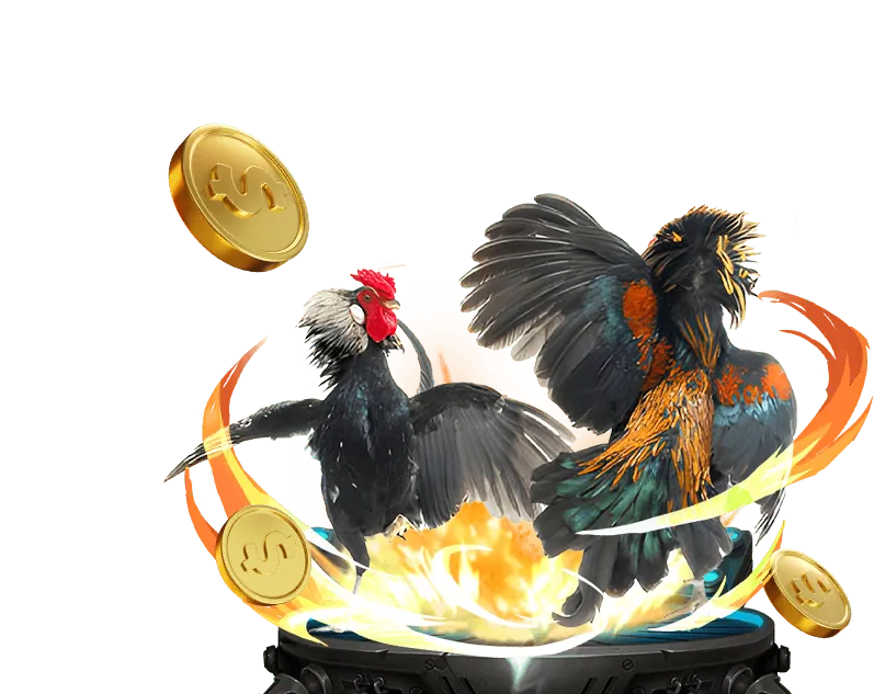 Tổng quan nền tảng Win55