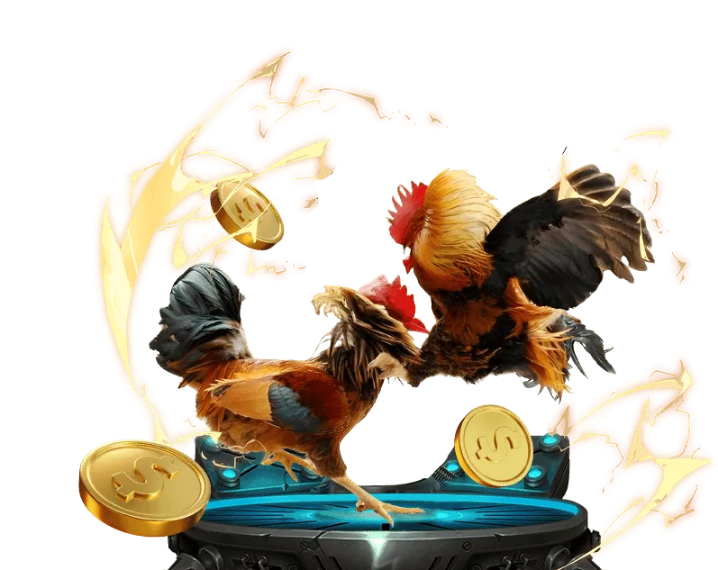 Tổng quan về đá gà trực tuyến Win55